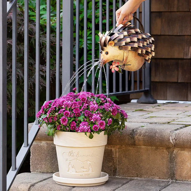 Harold the Hedgehog Watering Can