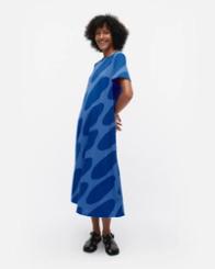 Pisteinen Linssi dress