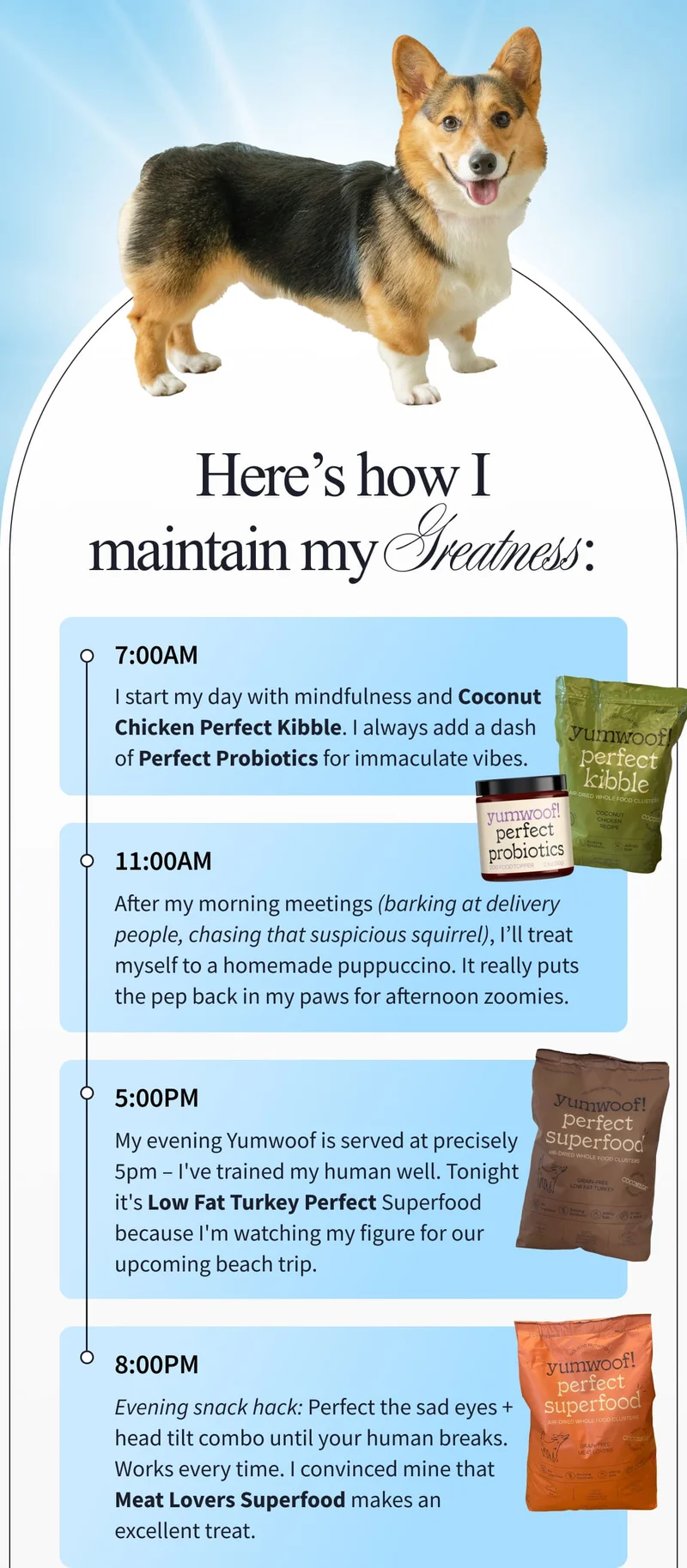 Here’s how I maintain my Greatness: 7:00AM | I start my day with mindfulness and Coconut Chicken Perfect Kibble. I always add a dash of Perfect Probiotics for immaculate vibes. | 11:00AM | After my morning meetings (barking at delivery people, chasing that suspicious squirrel), I’ll treat myself to a homemade puppuccino. It really puts the pep back in my paws for afternoon zoomies. | 5:00pm | My evening Yumwoof is served at precisely 5pm – I've trained my human well. Tonight it's Low Fat Turkey Perfect Superfood because I'm watching my figure for our upcoming beach trip. | 8:00PM | Evening snack hack: Perfect the sad eyes + head tilt combo until your human breaks. Works every time. I convinced mine that Meat Lovers Superfood makes an excellent treat.
