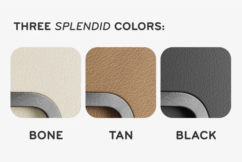 Three splendid colors, white, tan, black