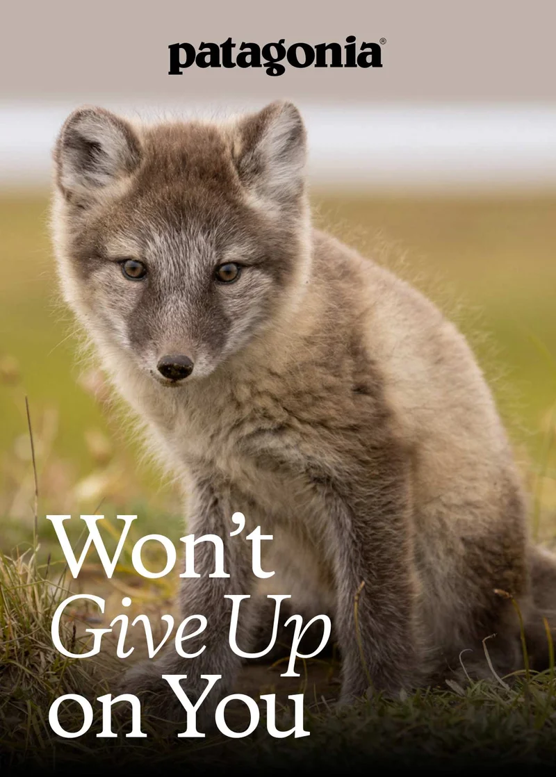 Patagonia. Won’t give up  on you.