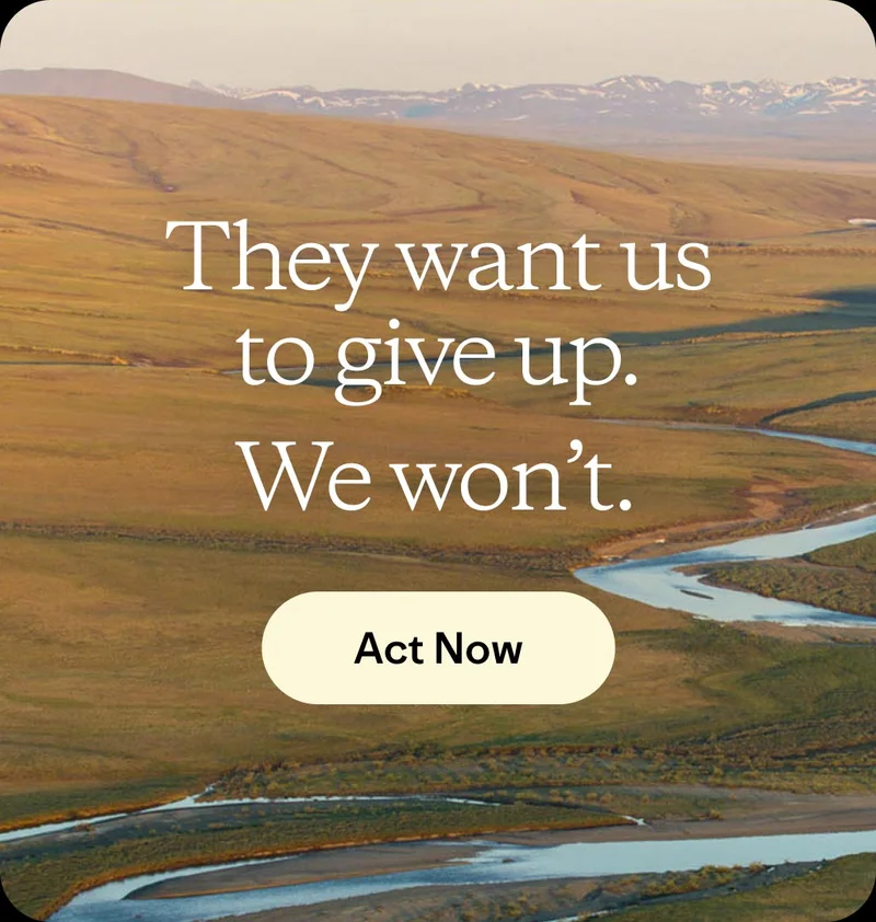 They want us to give up. We won’t.