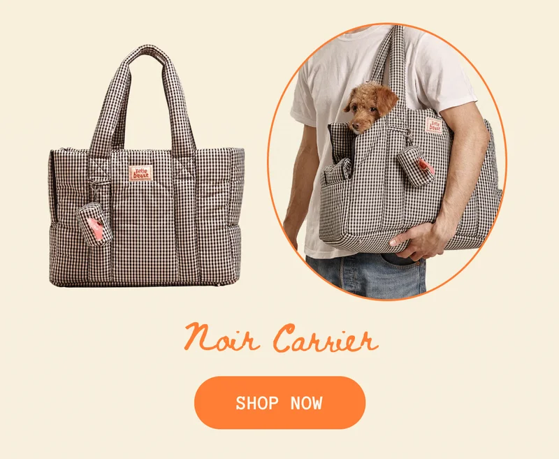 Noir Carrier