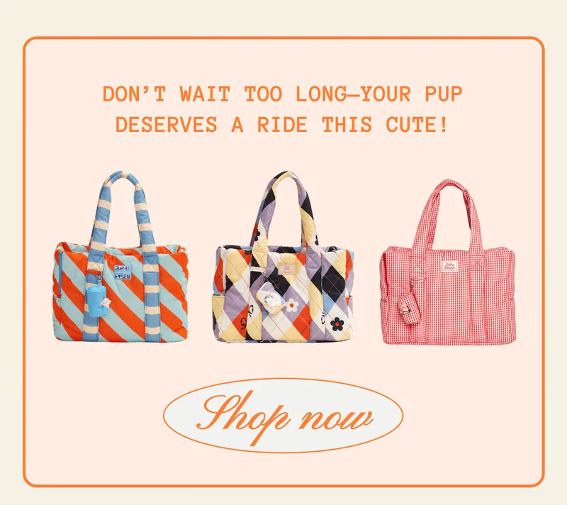 Don’t wait too long—your pup deserves a ride this cute!