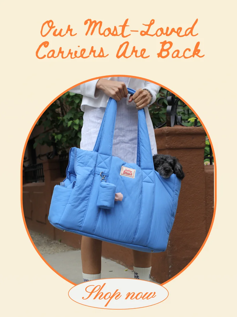 Our Most-Loved Carriers Are Back