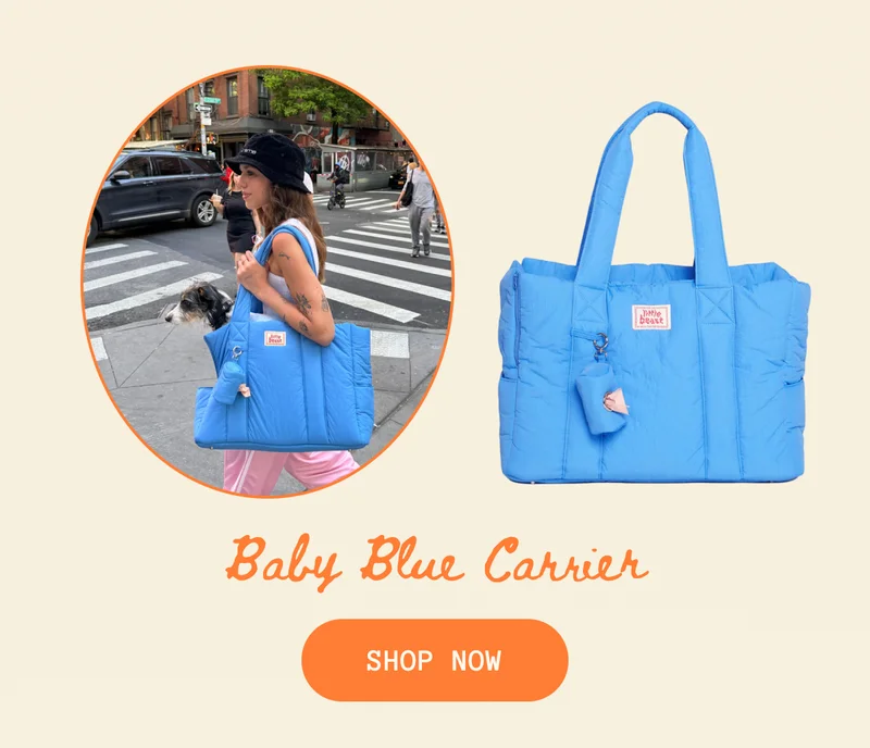 Baby Blue Carrier