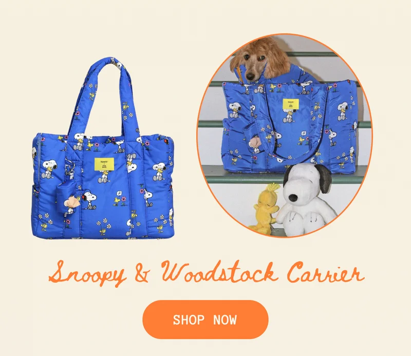 Snoopy & Woodstock Carrier