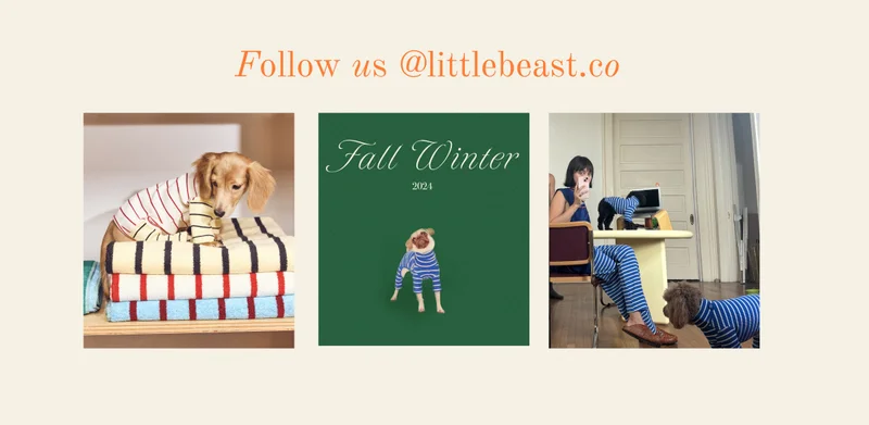 Follow us on Instagram