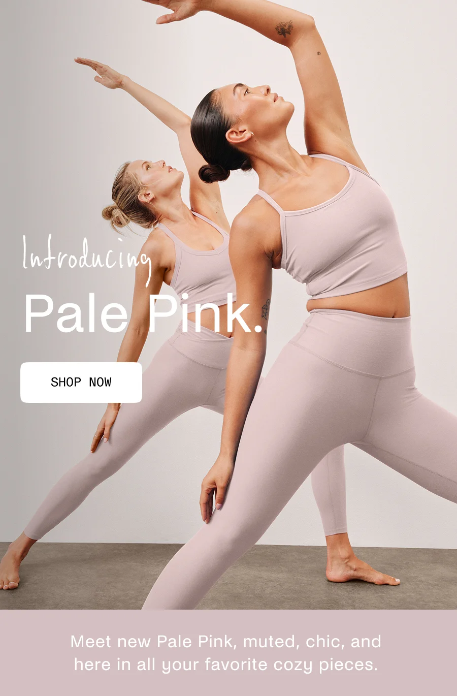 Introducing Pale Pink