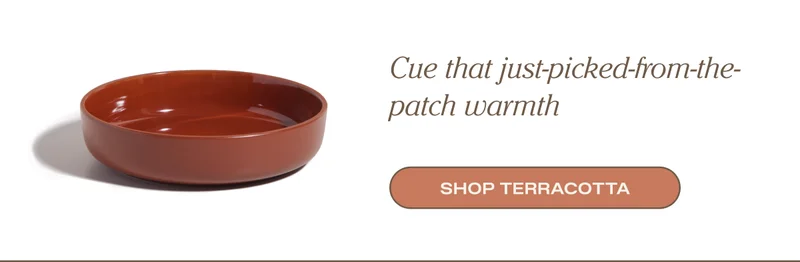 Cue that just-picked-from-the-patch warmth - Shop Terracotta