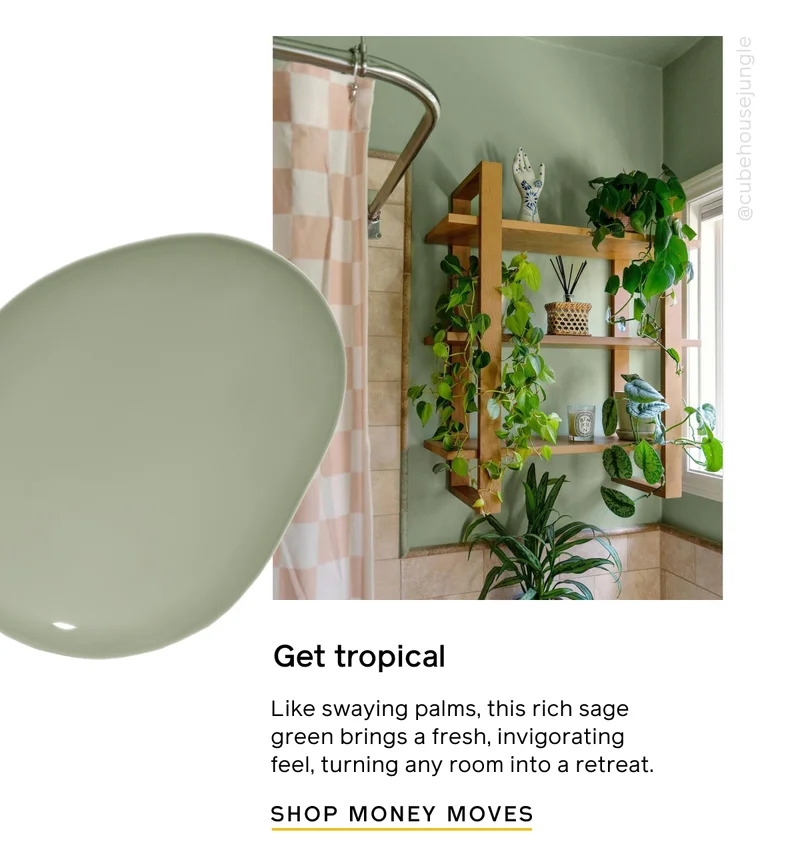 Get tropical. Like swaying palms, this rich sage green brings a fresh, invigorating feel, turning any room into a retreat. SHOP MONEY MOVES