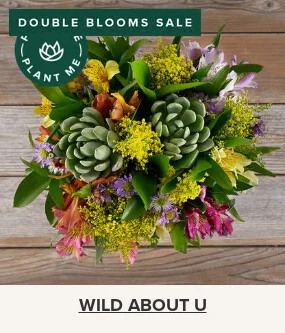 Double Your Blooms For Free