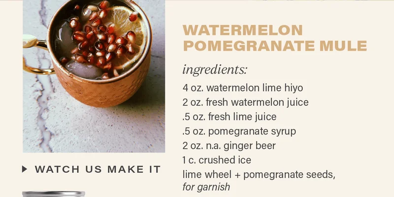 WATERMELON POMEGRANATE MULE: ingredients - 4 oz. watermelon lime hiyo; 2 oz. fresh watermelon. juice; .5 oz. fresh lime juice; .5 oz. pomegranate syrup; 2 oz. n.a. ginger beer; 1 c. crushed ice; lime wheel + pomegranate seeds, for garnish. [WATCH US MAKE IT]