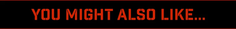 You Might Also Like...