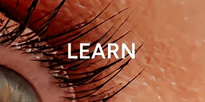 [Click here to LEARN MORE]