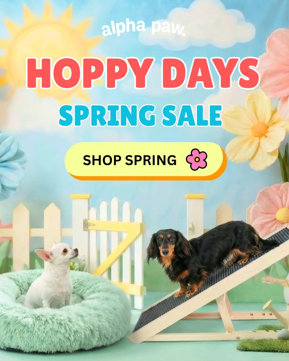 Hoppy Days Hoppy Days