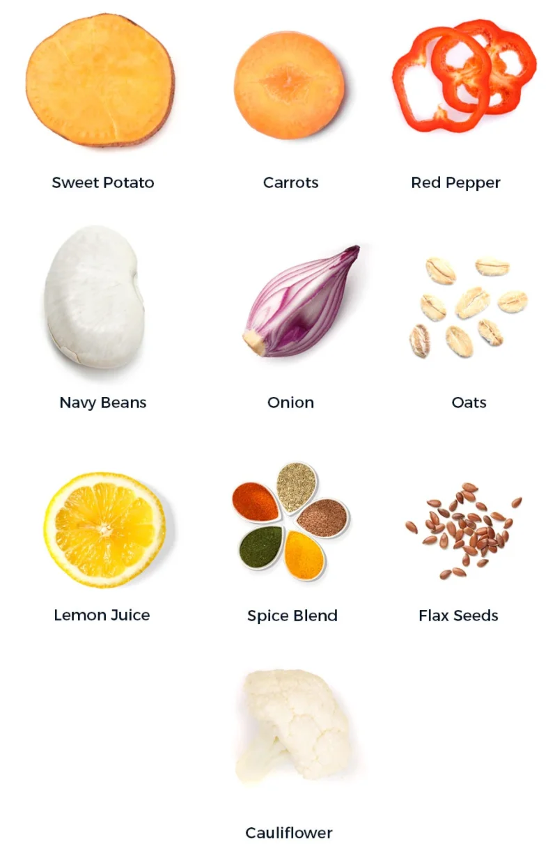 Ingredients: The Actual Orange Burger