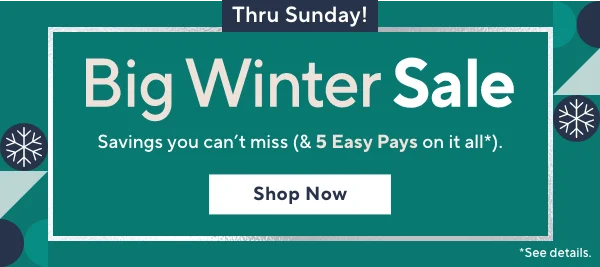 big winter sale