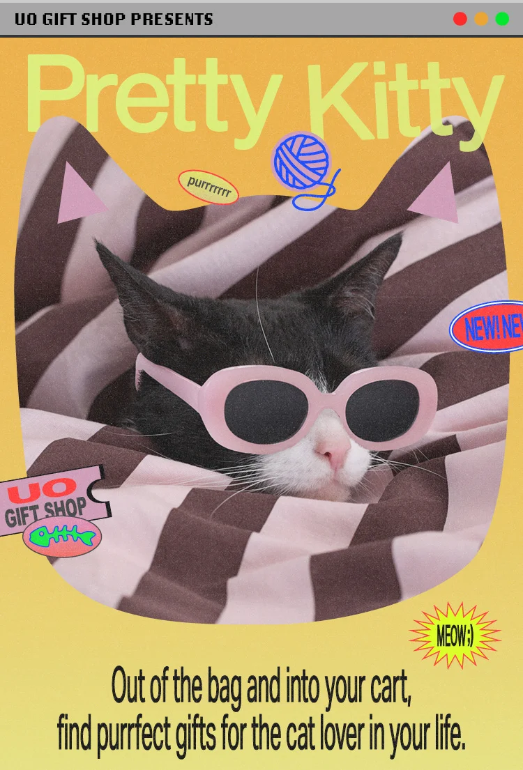 IMAGE-PRETTY KITTY