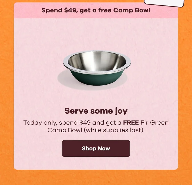 Spend $49, get a free Camp Bowl. Serve some joy. Today only, spend $49 and get a FREE Fir Green Camp Blow (while supplies last) | Shop Now