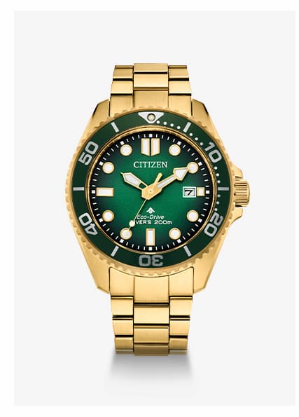 Promaster Dive