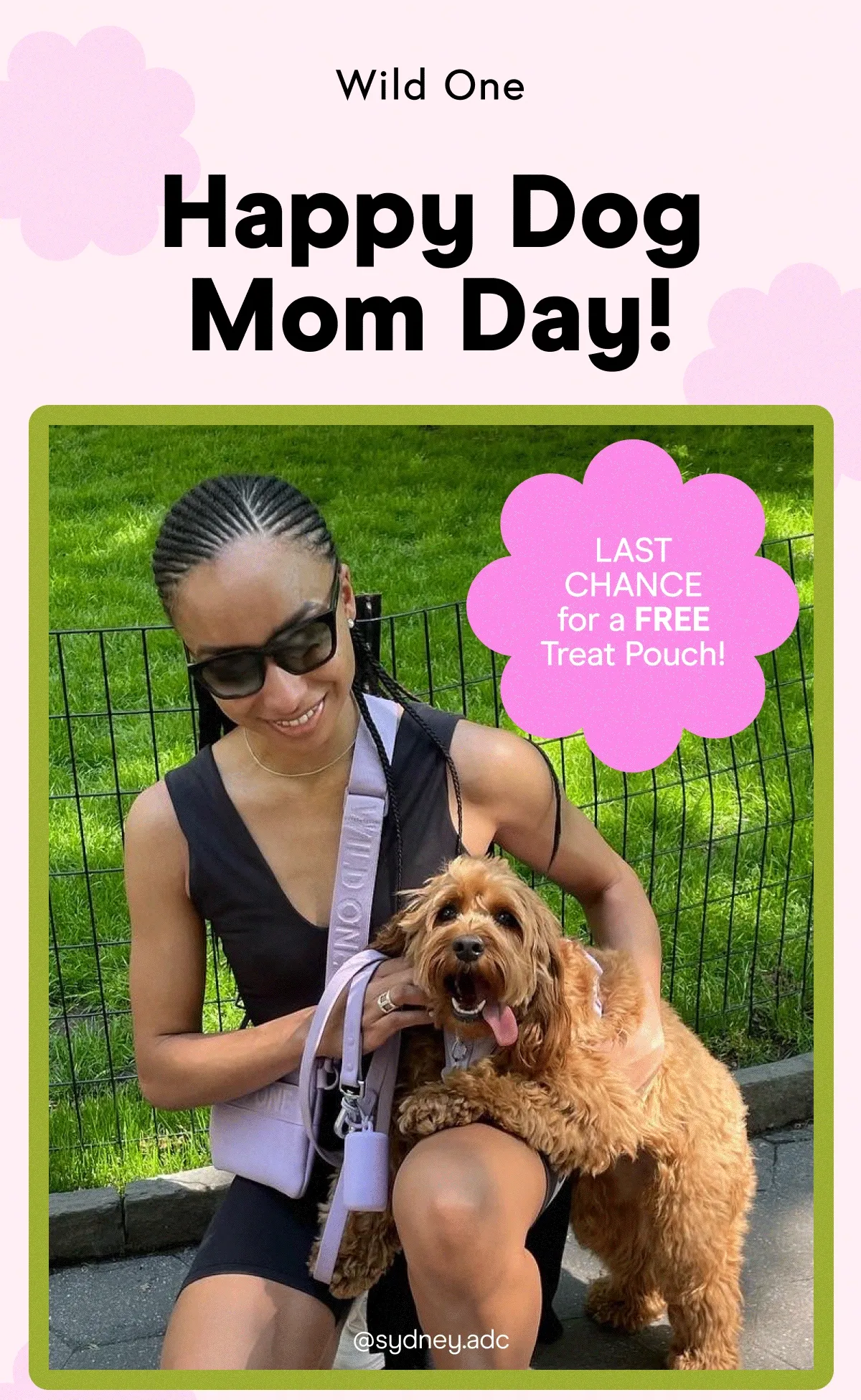 Happy Dog Mom Day! LAST CHANCE for a FREE Treat Pouch!