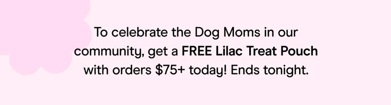 To celebrate the Dog Moms in our community, get a FREE Lilac Treat Pouch with orders $75+ today! Ends tonight.