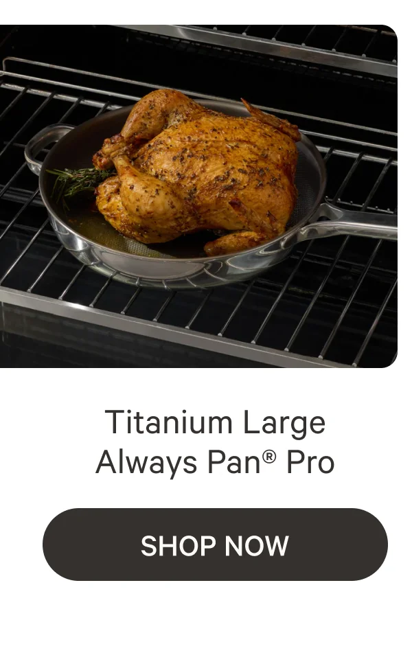 Titanium Large Always Pan® Pro