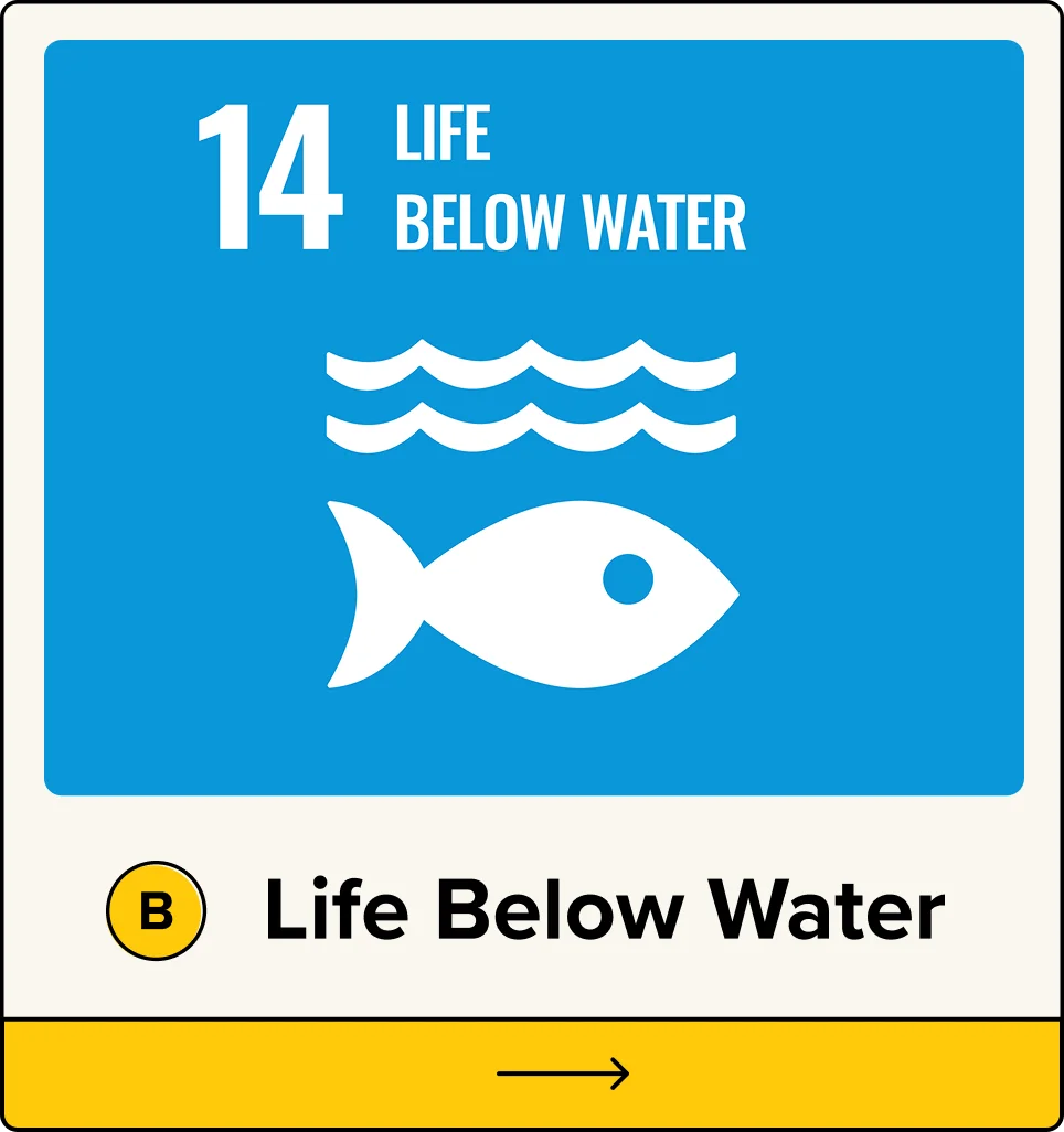 B. Life Below Water
