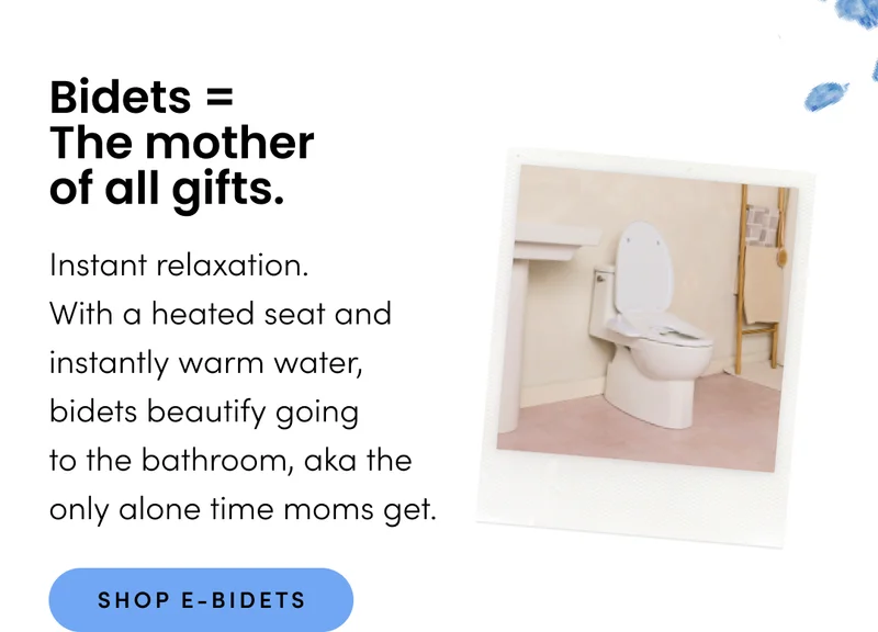 SHOP ELECTRIC BIDETS