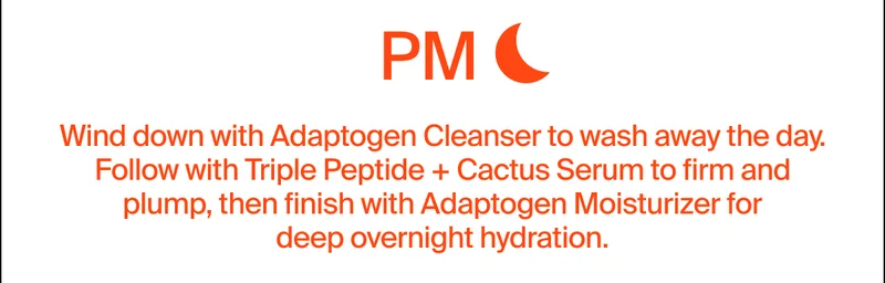 PM