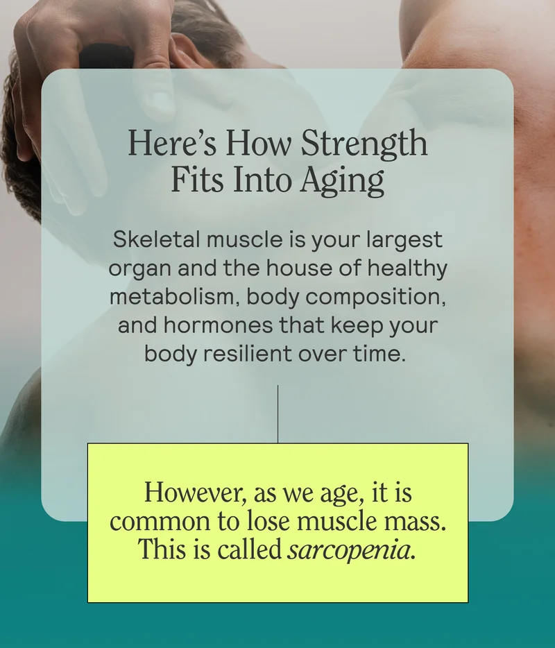 Here’s How Strength Fits Into Aging. Skeletal muscle is your largest organ and the house of healthy metabolism, body composition, and hormones that keep your body resilient over time.   However, as we age, it is common to lose muscle mass. This is called sarcopenia.