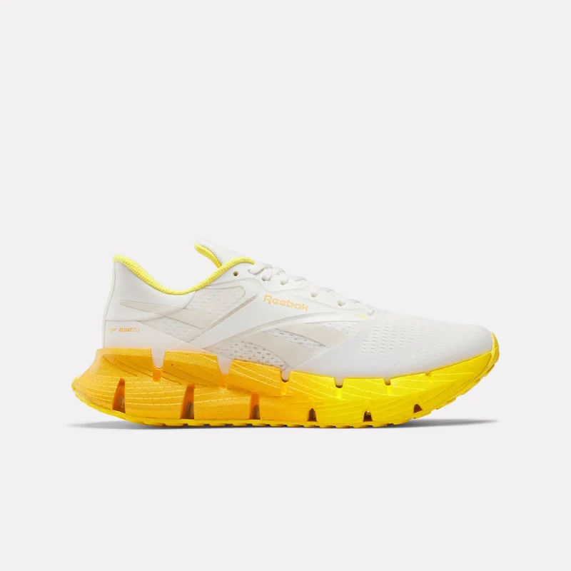 Image of Men's FloatZig 1 Shoes