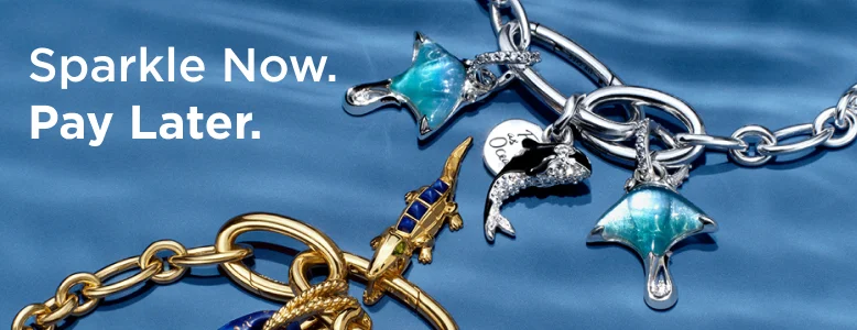 Sparkle Now. Pay Later.