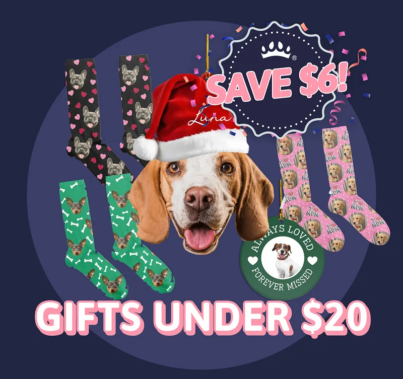 Gifts Under $20. SAVE $6!
