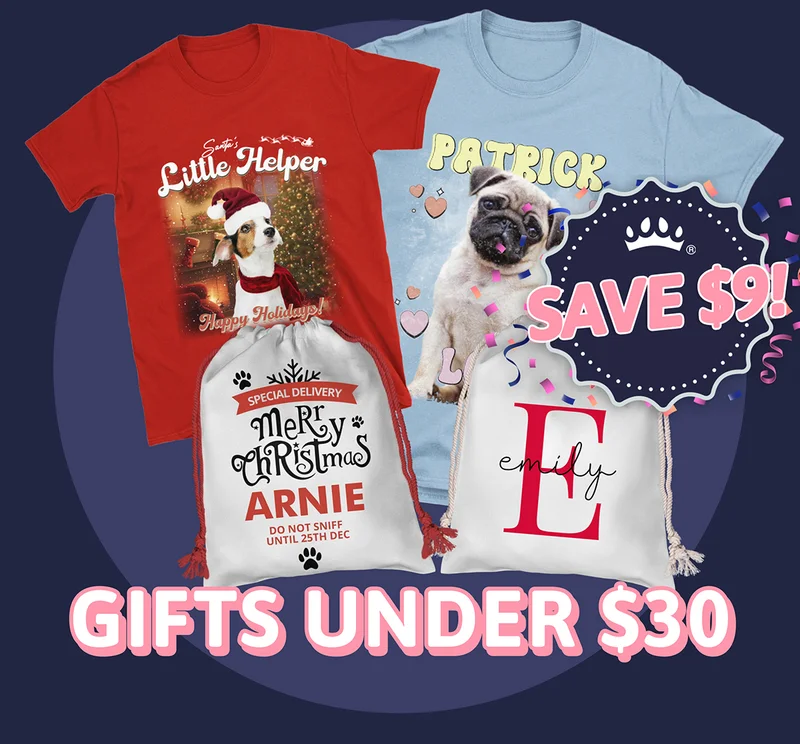 Gifts Under $30. SAVE $9!