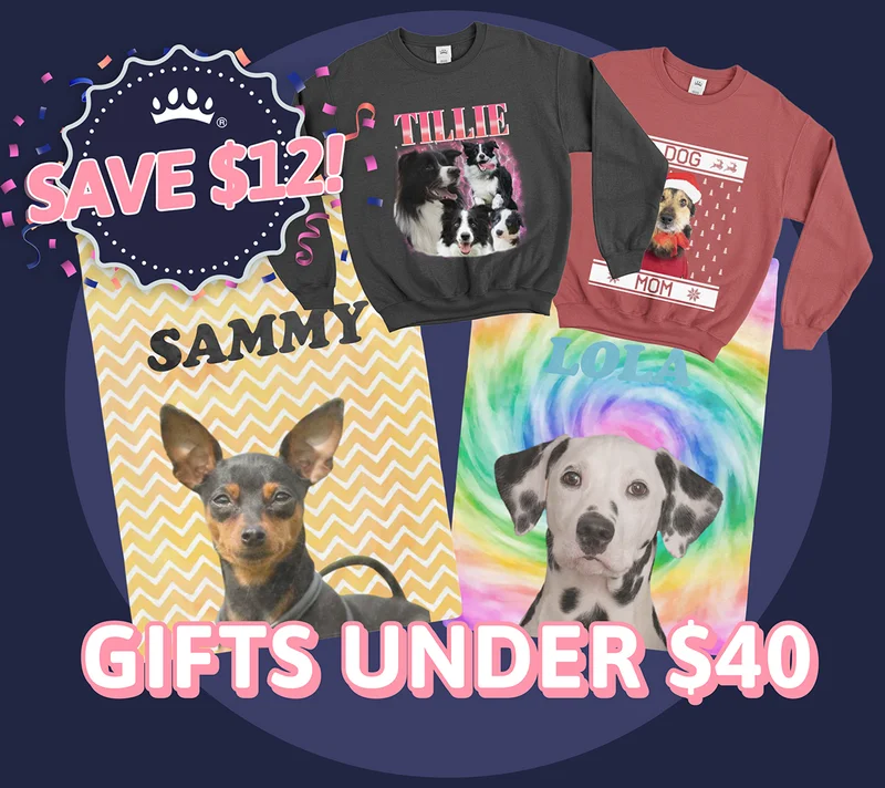 Gifts Under $40. SAVE $12!