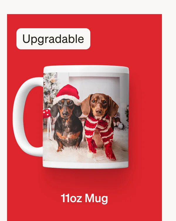 Pick 5 Free Gifts