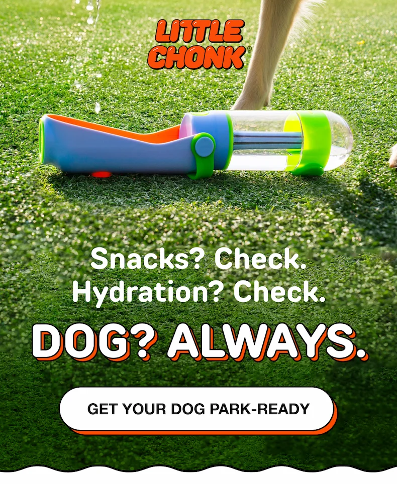 Snacks? Check. Hydration? Check. Dog? Always.