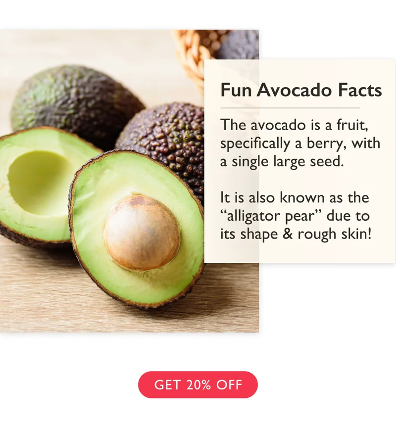 Shop Hass Avocado Tree