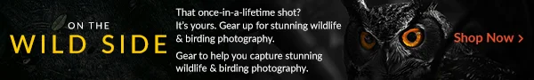 Wild Photography | Shop Now