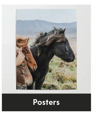 Shop Posters