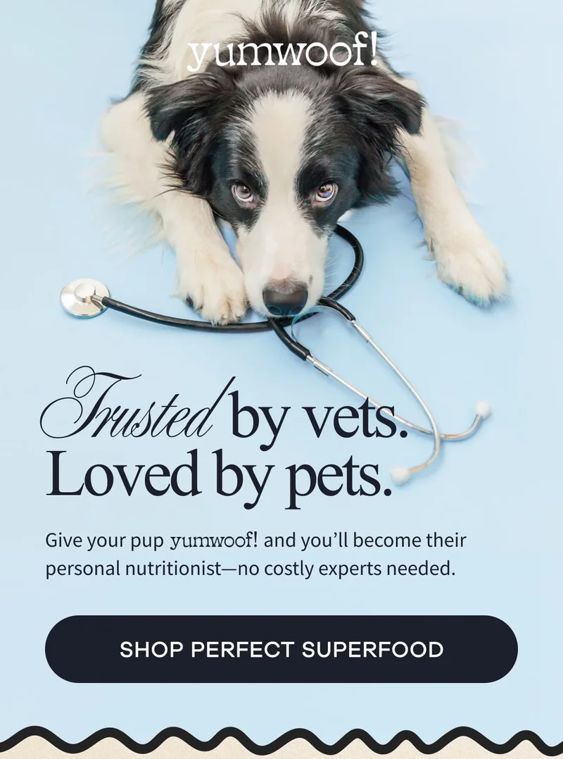 yumwoof! | Trusted by vets. Loved by pets. | Give your pup Yumwoof , and you’ll become their personal nutritionist—no costly experts needed! | SHOP PERFECT SUPERFOOD