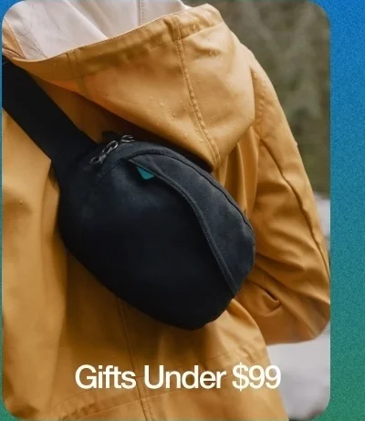 Gifts Under $99