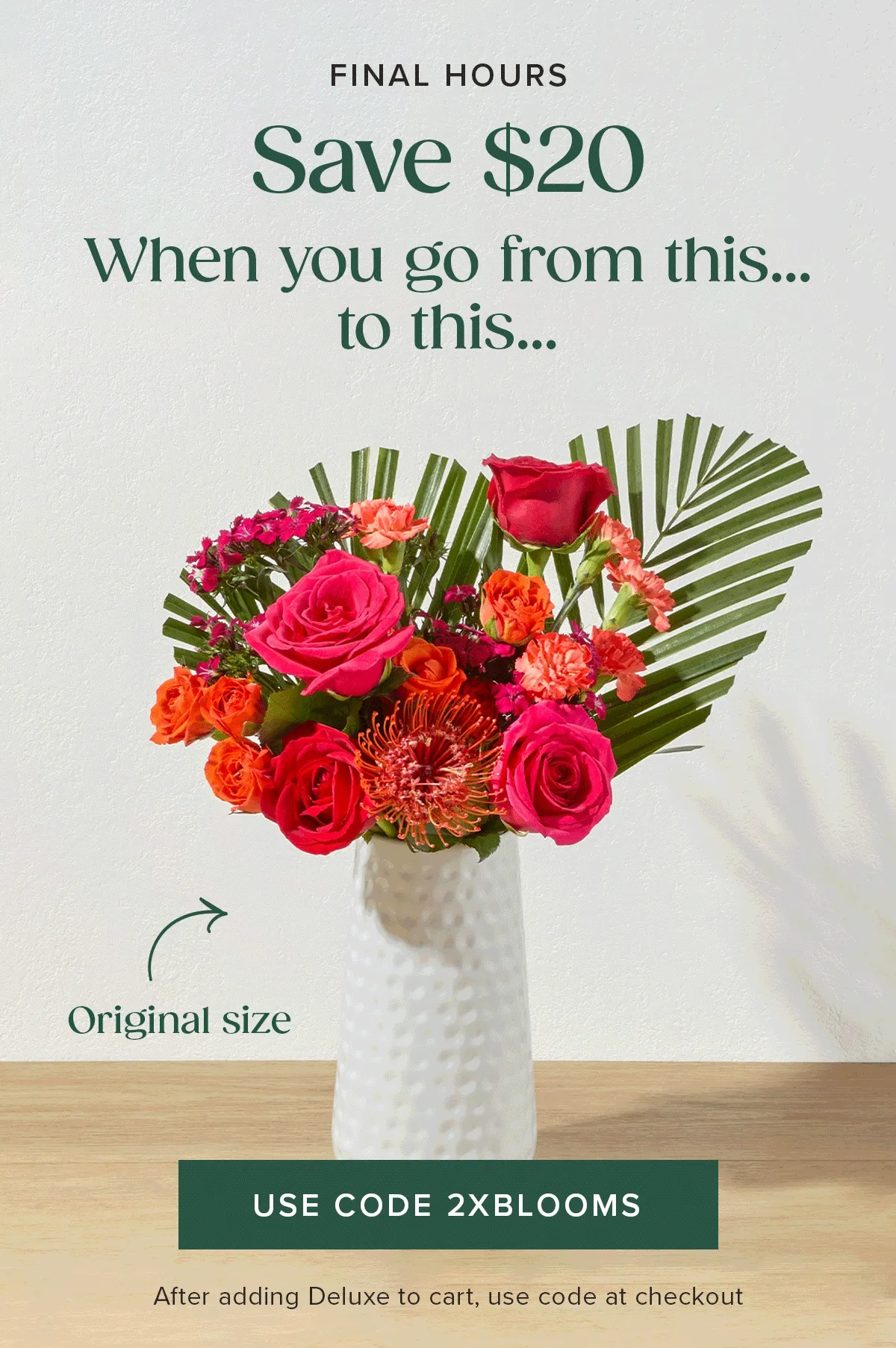 Final Hours for The Double Blooms Sale! Save $20 when you go from an original size to a deluxe size. Add a deluxe sized Bouq to your cart and use code 2XBLOOMS.