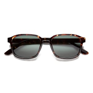 Sunseekers Sunglasses