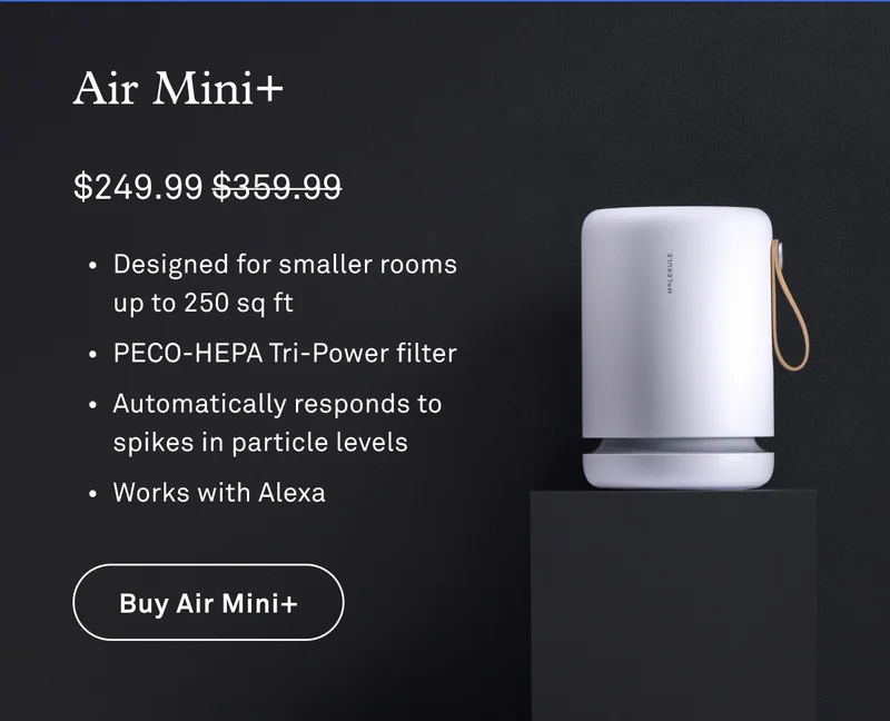 Air Mini+