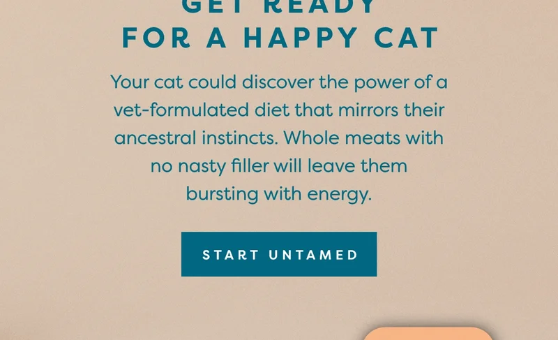 Start Untamed