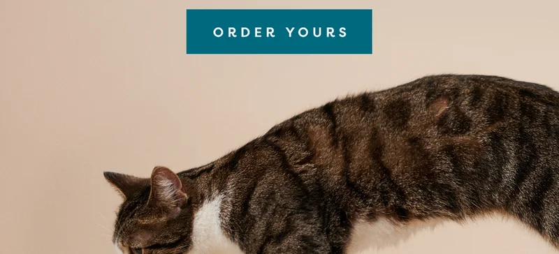 Order yours