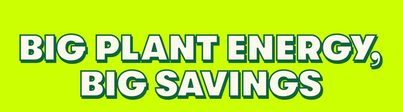 BIG PLANT ENERGY, BIG SAVINGS